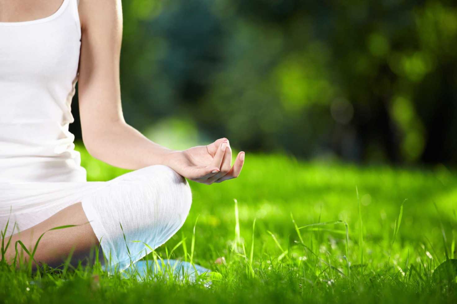 Yoga in the Garden / August 9 | Norton Museum of Art