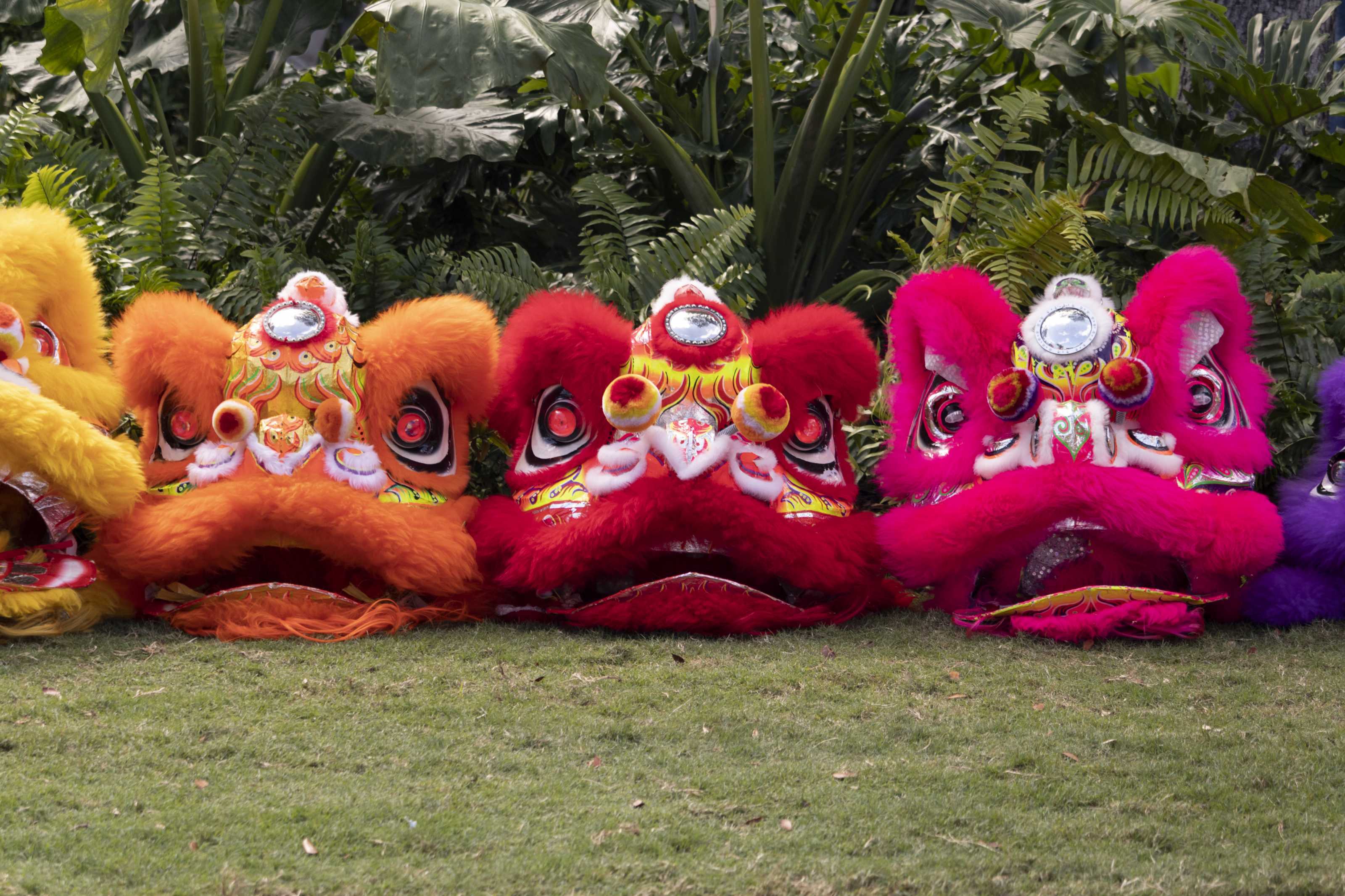 Chinese New Year Celebration | Norton Museum of Art